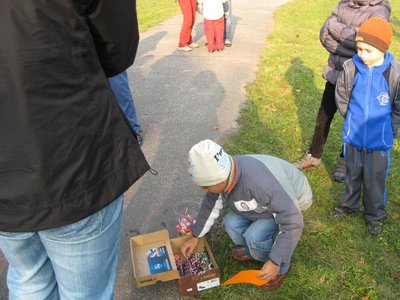 Obrázek 114041 