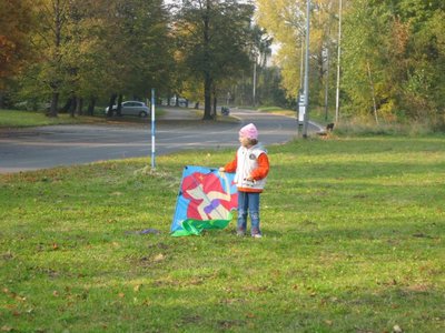Obrázek 114047 