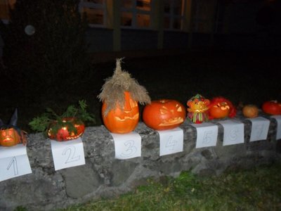 Obrázek 113959 