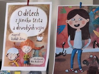 Obrázek 170417 