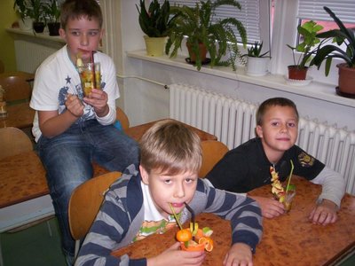 Obrázek 113813 