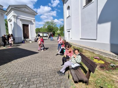 Obrázek 171142 