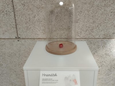 Obrázek 171204 