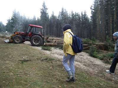 Obrázek 113758 