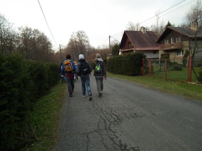 Obrázek 113779 
