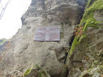Obrázek 113705 