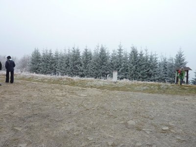Obrázek 113713 
