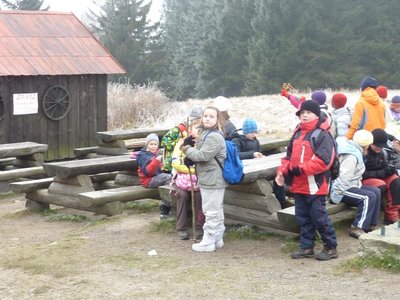 Obrázek 113715 