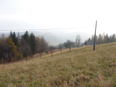 Obrázek 113749 
