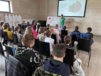 Farma Bezdínek