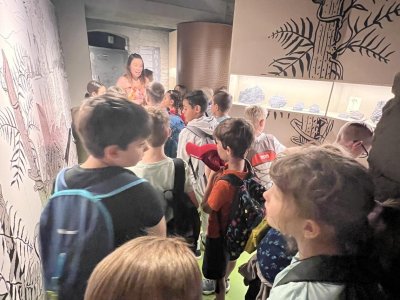 Fotogalerie 172583