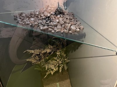 Fotogalerie 172584