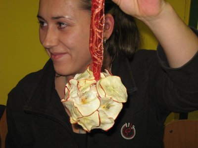 Obrázek 113538 