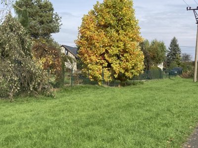 Fotogalerie 173935