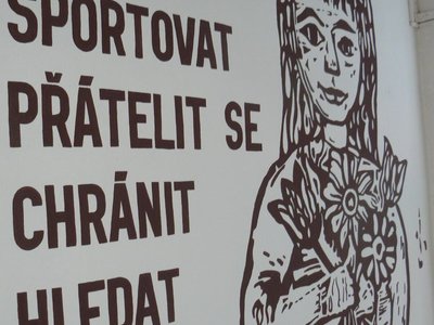 Obrázek 122645 