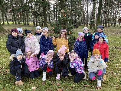 VÁNOČNÍ STROMEČEK PRO ZVÍŘÁTKA