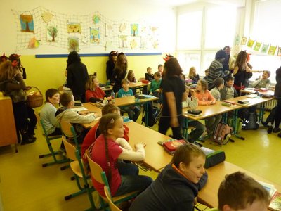 Obrázek 113217 
