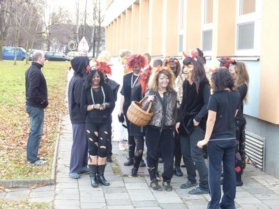 Obrázek 113254 