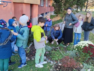 Výprava za květinovým záhonem