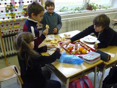 Obrázek 113110 