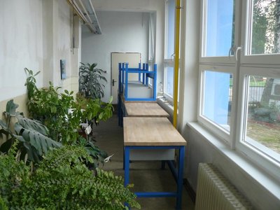 Obrázek 122573 