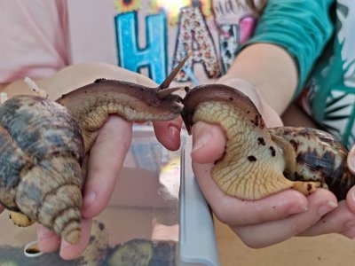 Vyhlášení a oslava výhry ve výtvarné soutěži