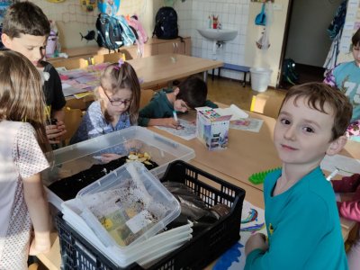 Obrázek 176848 Starší ukazují mladším, jak se o šneky starat.