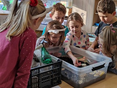 Jak se staráme o oblovky