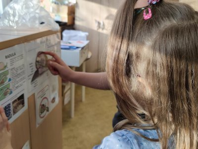 Obrázek 176850 Starší učí mladší o životě šneků.