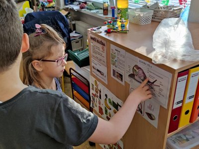 Obrázek 176854 Starší učí mladší o životě šneků.