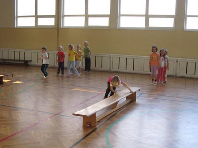 Obrázek 113369 