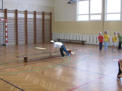 Obrázek 113370 