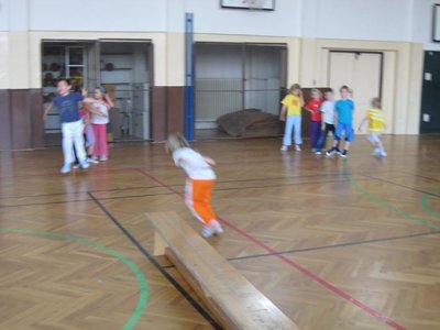 Obrázek 113375 