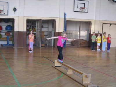 Obrázek 113378 