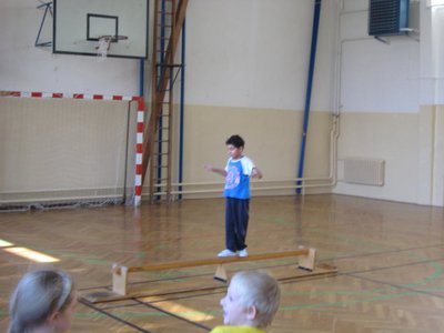 Obrázek 113380 