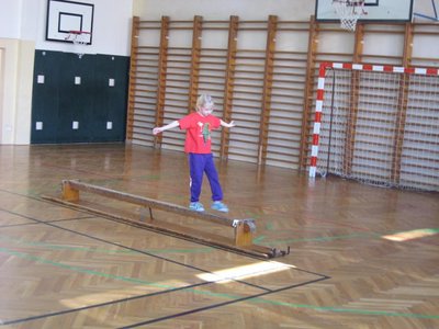 Obrázek 113381 