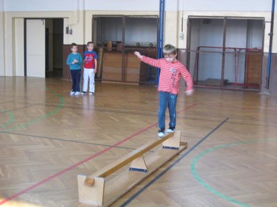 Obrázek 113383 