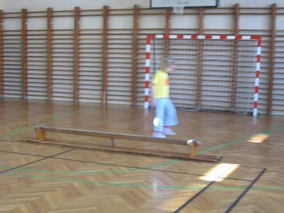 Obrázek 113384 