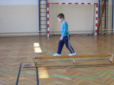 Obrázek 113385 