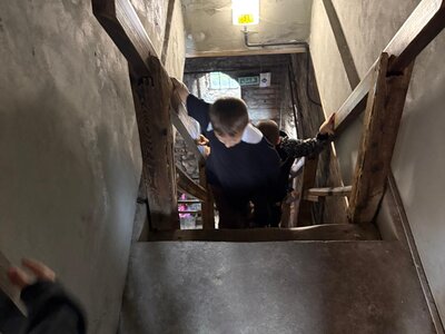 Obrázek 180084 
