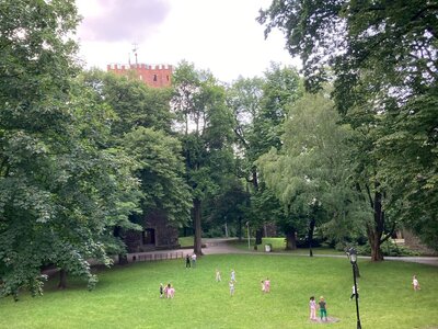 Obrázek 179397 