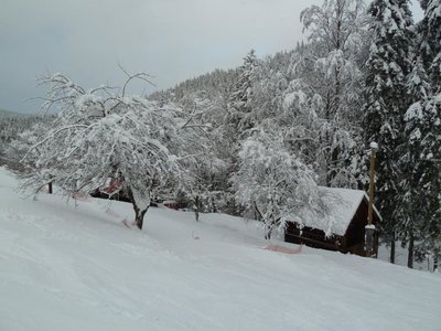 Obrázek 112405 