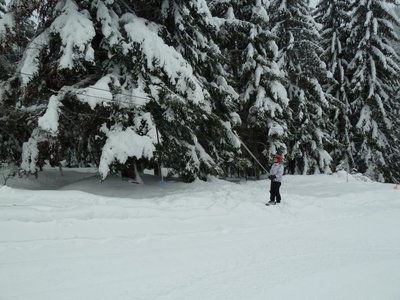 Obrázek 112409 