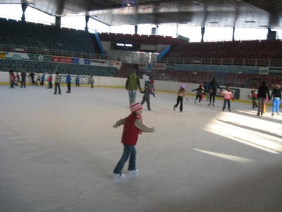 Obrázek 111998 