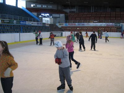 Obrázek 111802 