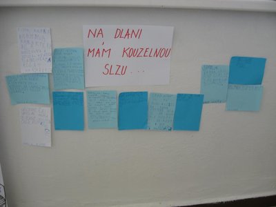 Obrázek 111322 