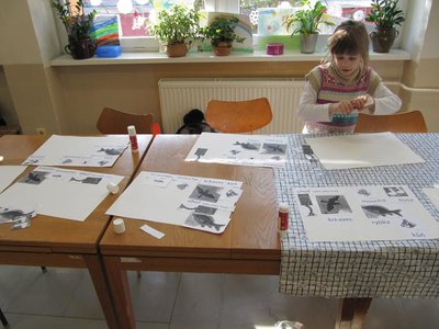 Obrázek 111208 