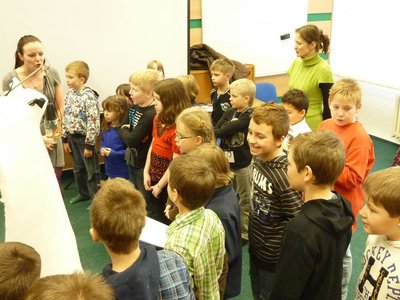 Obrázek 111184 