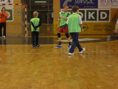 Obrázek 111034 