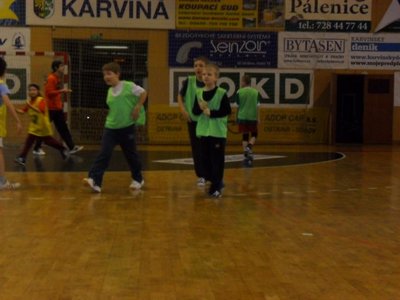 Obrázek 111038 